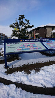 DSC_1664.jpg
