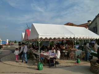 sP1010338.jpg